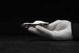 Chevrolet Corvette Sculptures