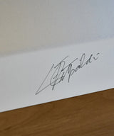 Lotus 72 - Art Screen Print - Emerson Fittipaldi Signed Edition