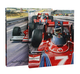 The Michael Turner Collection (Collector's Edition)