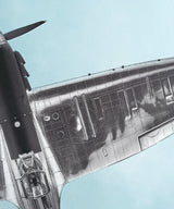 Spitfire Art Screen Print