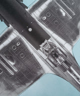 Spitfire Art Screen Print