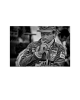 Champions Collection - Exclusive Portfolio