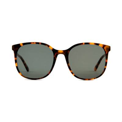 Newburgh Sunglasses in Chestnut Tortoiseshell